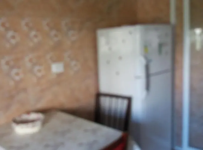 Apartment Nicoleta *